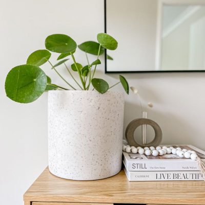 White Terrazzo Indoor and Outdoor Pots