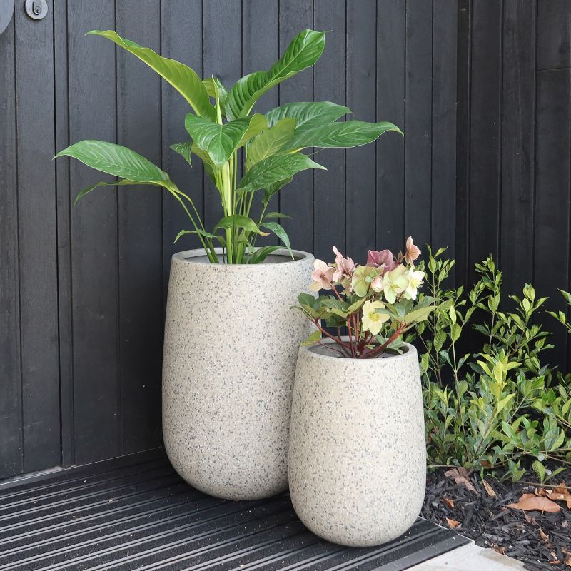 Pots - Buy Beautiful Plant Pots Online