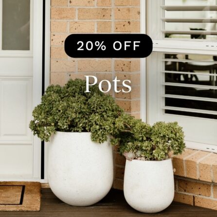 20% off Pots Slider