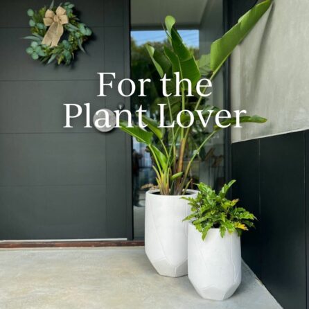 For the plant lover